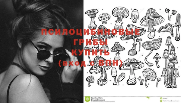 метадон Алзамай