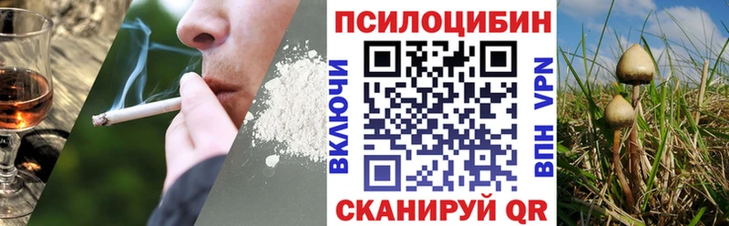 как найти закладки  Октябрьск  Галлюциногенные грибы Psilocybine cubensis 